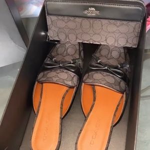 Coach Wallet & Stassi Slides